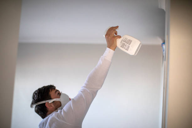 Best Affordable Mold Removal  in Forest Heights, TX