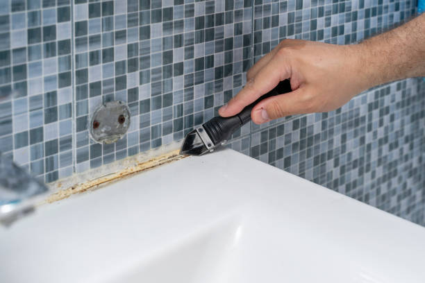 Mold Removal Process in Forest Heights, TX